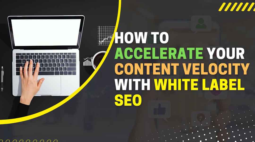 How to Accelerate Your Content Velocity With White Label SEO
