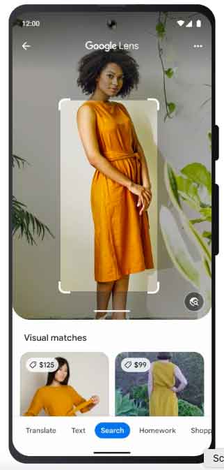 The Evolving Need for Visual Search