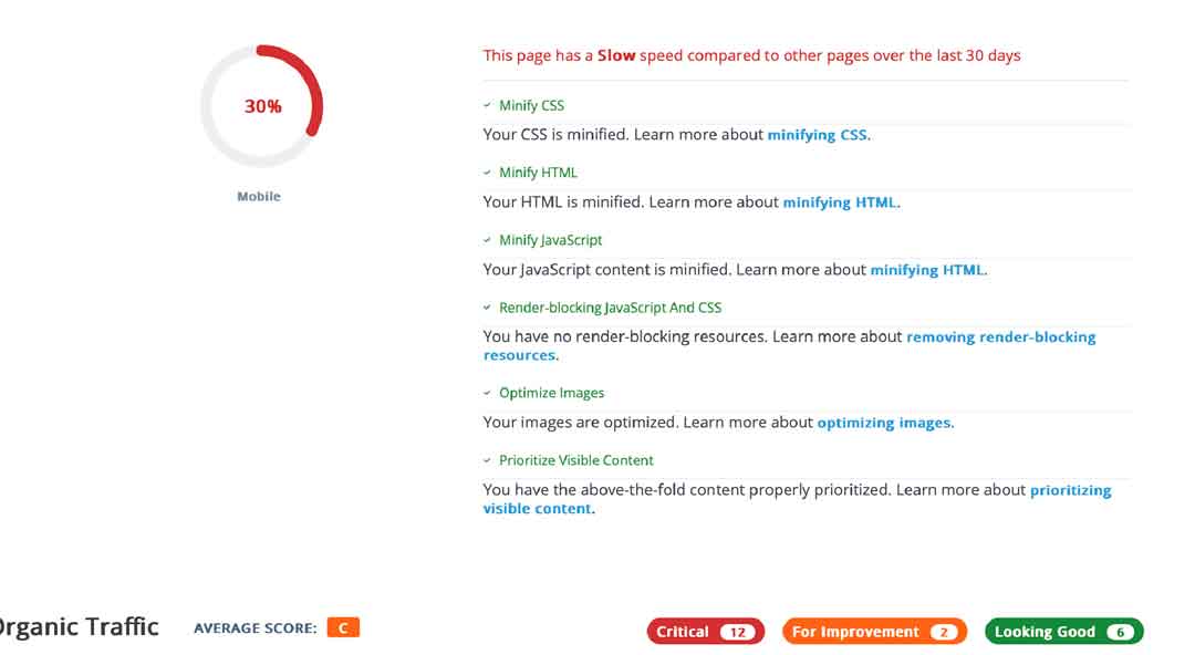 Mobile Slow Speed Audit