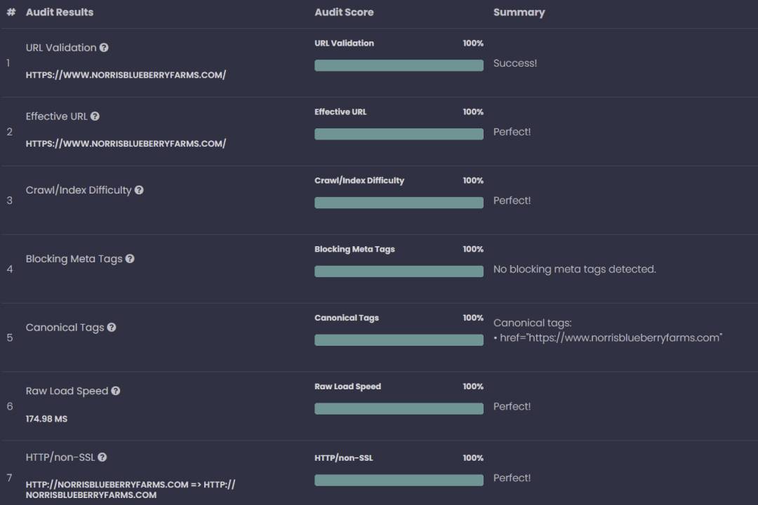 Run a free and quick technical SEO audit.