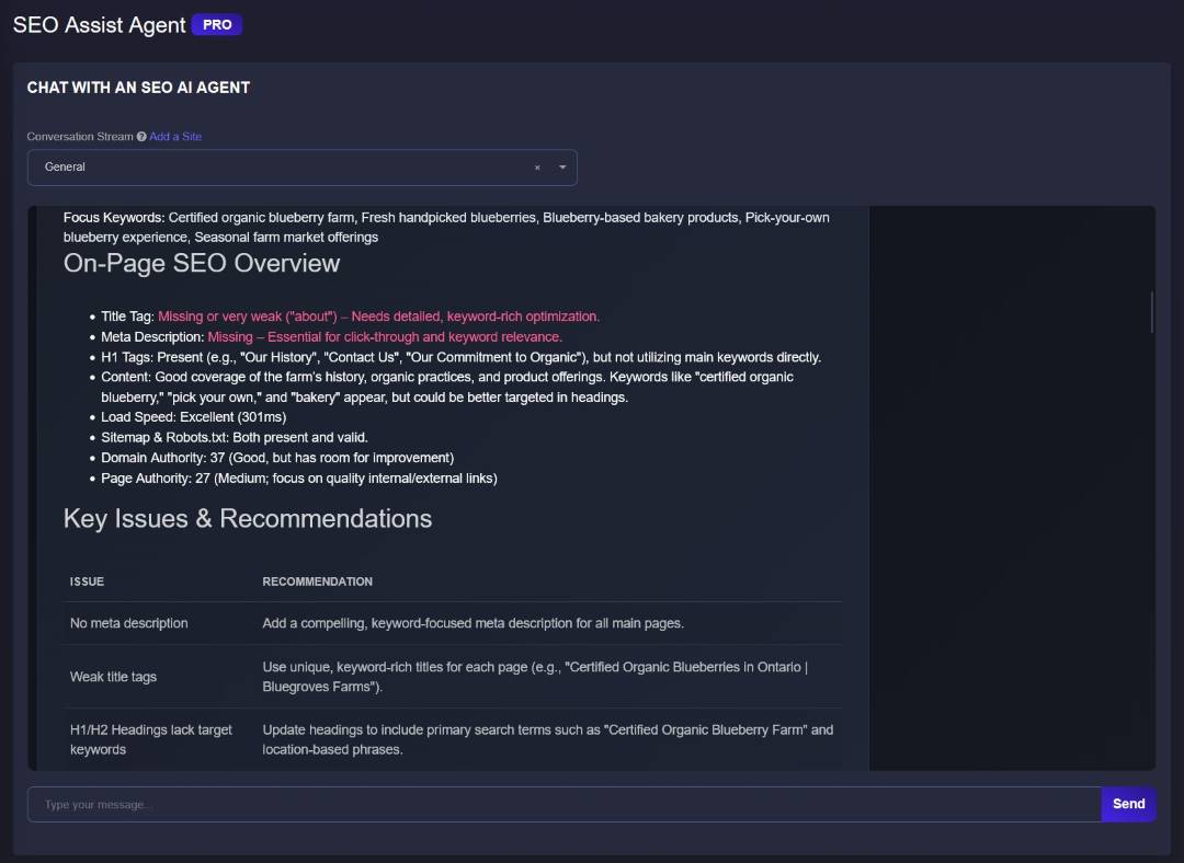 SEO Assist on-page review identifying missing metadata, weak titles and heading opportunities
