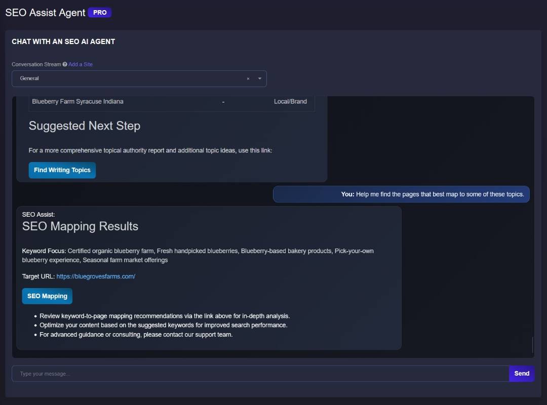 SEO Assist mapping example connecting a keyword focus and target URL to the SEO Mapping tool